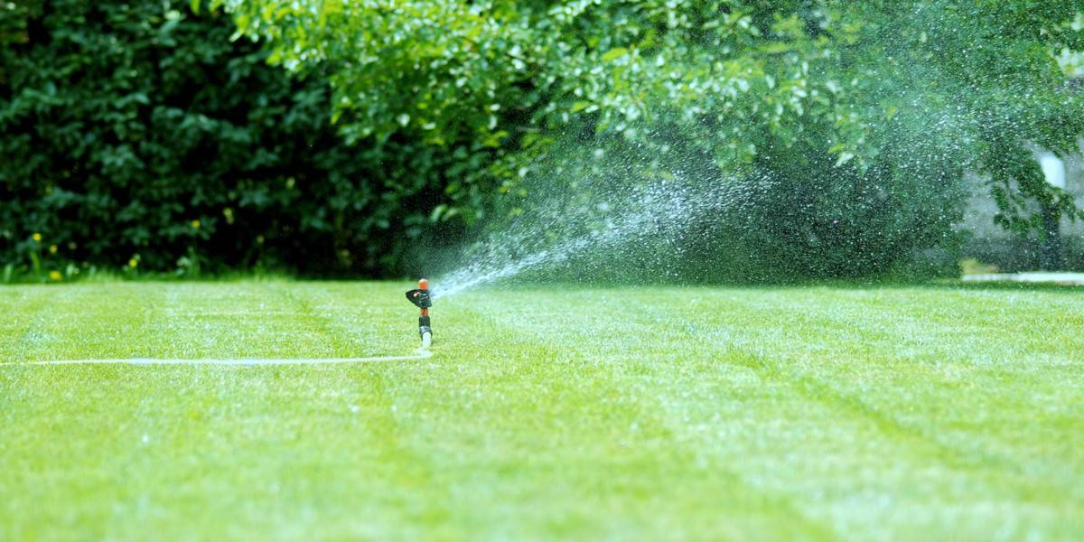 GUIDA FERRAMENTA: L’arte di innaffiare il giardino con meno sprechi