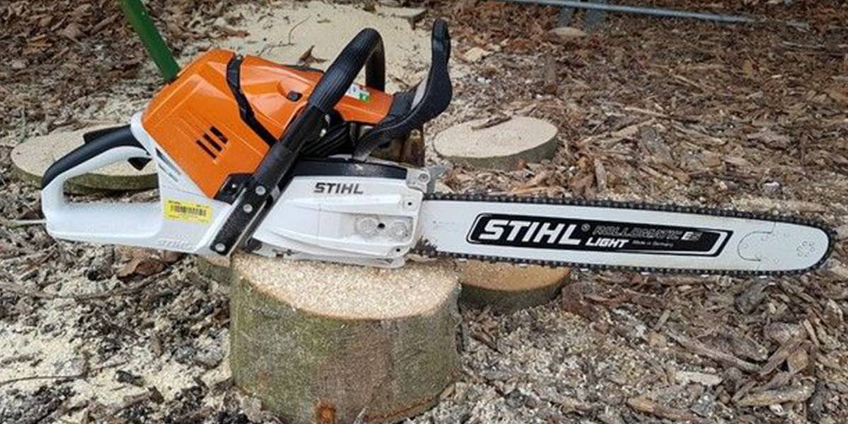 Corsi motosega: sicurezza e formazione in esercizio nei corsi Stihl