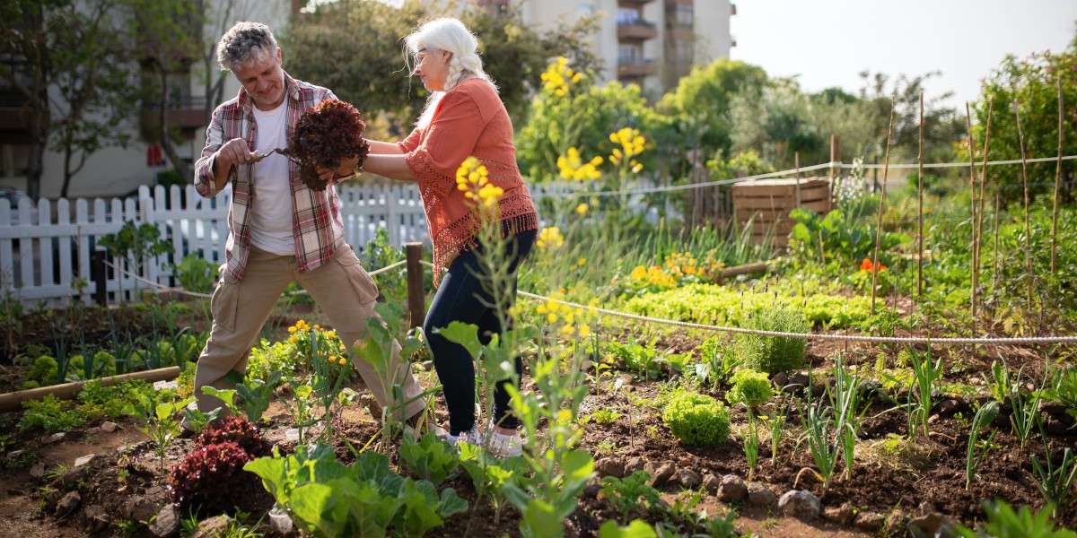 Guida Ferramenta: Come preparare il terreno dell’orto, i nutrienti