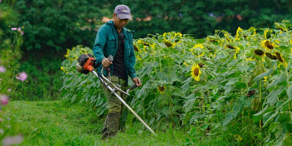 Tecniche di giardinaggio, come usare il decespugliatore