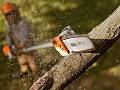 Potatore elettrico HTE 60 - Stihl