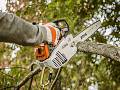 Motosega MS 151 TC-E - Stihl