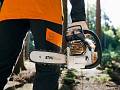 Motosega MS 241 C-M - Stihl