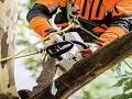 Motosega a batteria MSA 161 T - Stihl