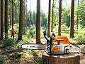 Motosega MS 241 C-M - Stihl