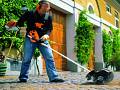 Kit spazzolone rotativo per motore Kombi KB-KM - Stihl