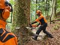 Motosega professionale MS 881 - Stihl