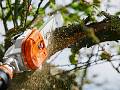 Potatore telescopico a batteria HTA 135 - Stihl