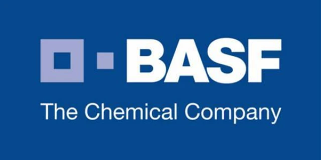 Basf The Chemical Company