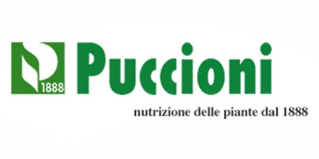 Puccioni