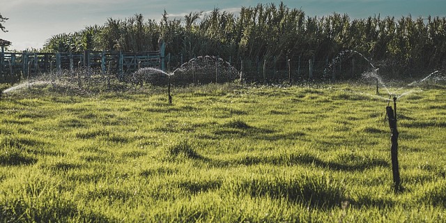 Guida Ferramenta: Piccoli e grandi giardini, sistema di irrigazione automatizzato