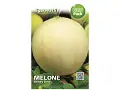 Seme di melone Honey Dew - Sgaravatti