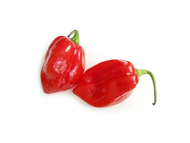 Olter Seme di peperoncino Red Savina F1 - Olter