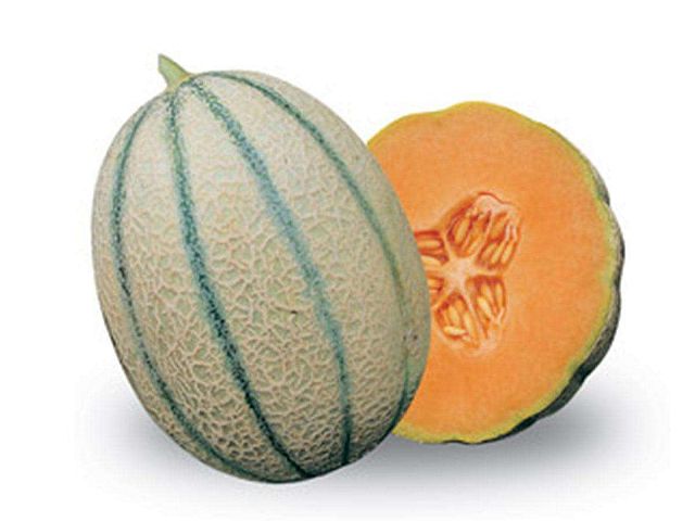 Franchi Seme di melone retato degli ortolani - Franchi