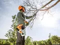 Potatore telescopico HT 133 - Stihl Potatore telescopico HT 133 - Stihl