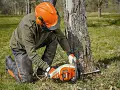 Motosega a batteria MSA 220 C-B - Stihl