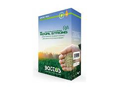 Bottos Seme per prato festuca arundinacea ROYAL STRONG PLUS - BOTTOS