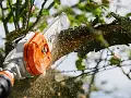 Potatore telescopico a batteria HTA 135 - Stihl