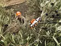 Scuotitore a batteria SPA 130 - Stihl