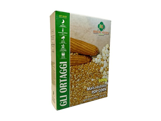 Royal seeds Seme di Mais Rostrato POP CORN - Royal Seeds