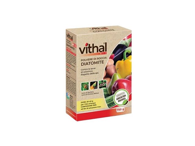 Vithal bio Polvere di roccia DIATOMITE - Vithal Bio