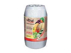 Vithal bio Ammendante ORTO SANO - Vithal Bio