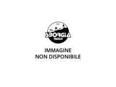 Sborgia Barra per motosega DUROMATIC E 45 cm 3/8?P 1,6 mm 66 maglie – Stihl